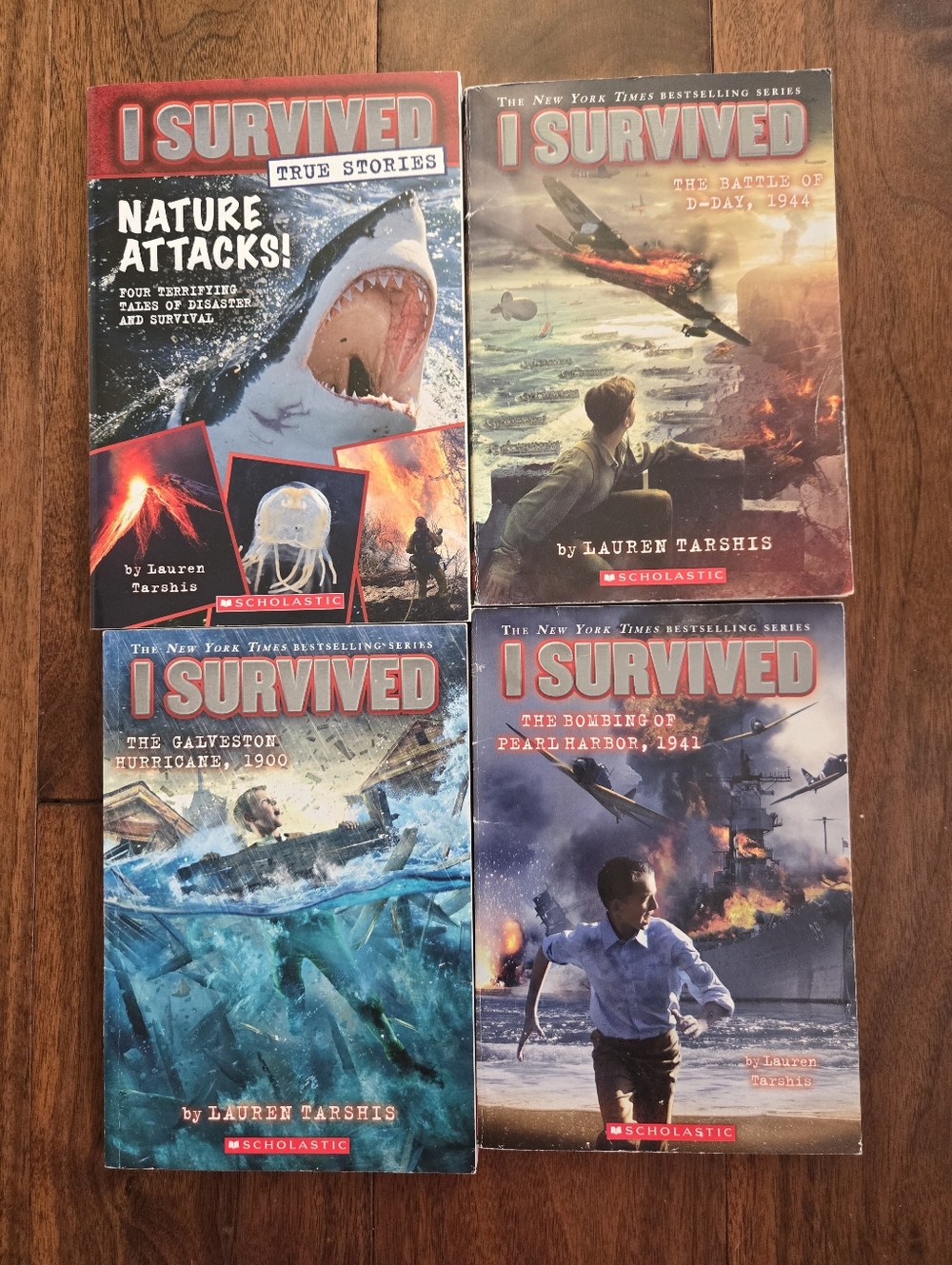Scholastic I Survived Book Lot